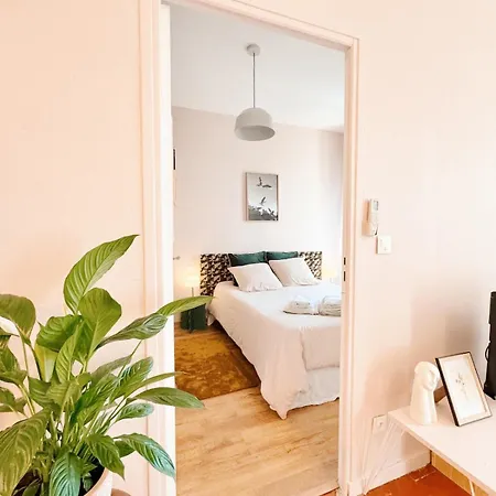 Apartment Cozy 48 M2 Proche Gare Et Centre-ville *