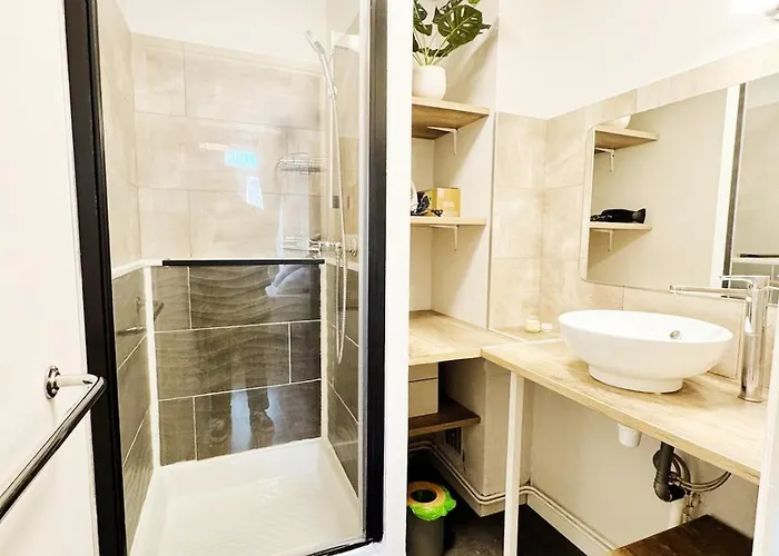 Apartment Cozy 48 M2 Proche Gare Et Centre-ville *
