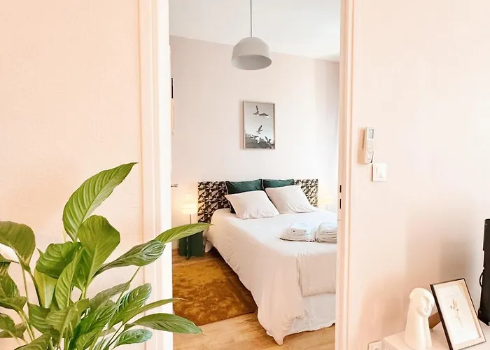 Apartment Cozy 48 M2 Proche Gare Et Centre-ville *